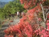 121021-les-sausses-clubrando06-04