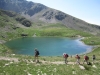millefonds-mercantour-12-01