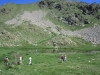 millefonds-mercantour-12-04
