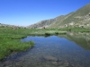 millefonds-mercantour-12-05