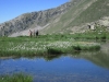 millefonds-mercantour-12-06