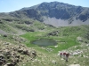 millefonds-mercantour-12-08
