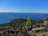 rayol-rando09