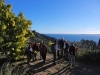 rayol-rando12