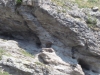 rando mercantour-15juil12