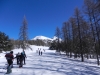 DSCN5058