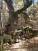 Annot_rando_clubrando06_2211-14