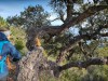 aurelle_ours_esterel_rando_221230-23-10