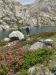 bresses_lacs_2206-2