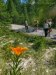 bresses_lacs_2206-5