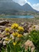 isola_lac_terre_rouges_rando06